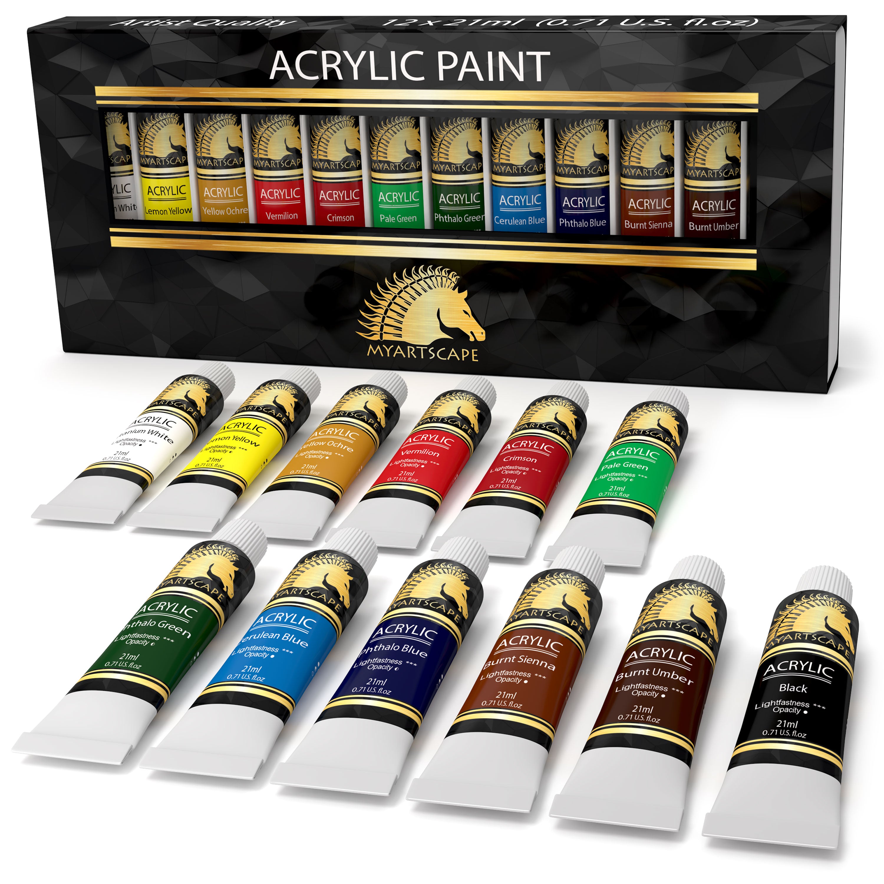 BASICS 12-Color Acrylic Paint Pots Set - Fine Line Art and Frame