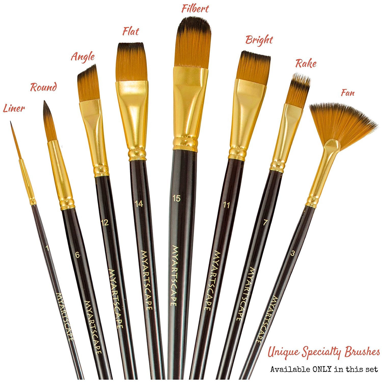 Paintbrush variety pack
